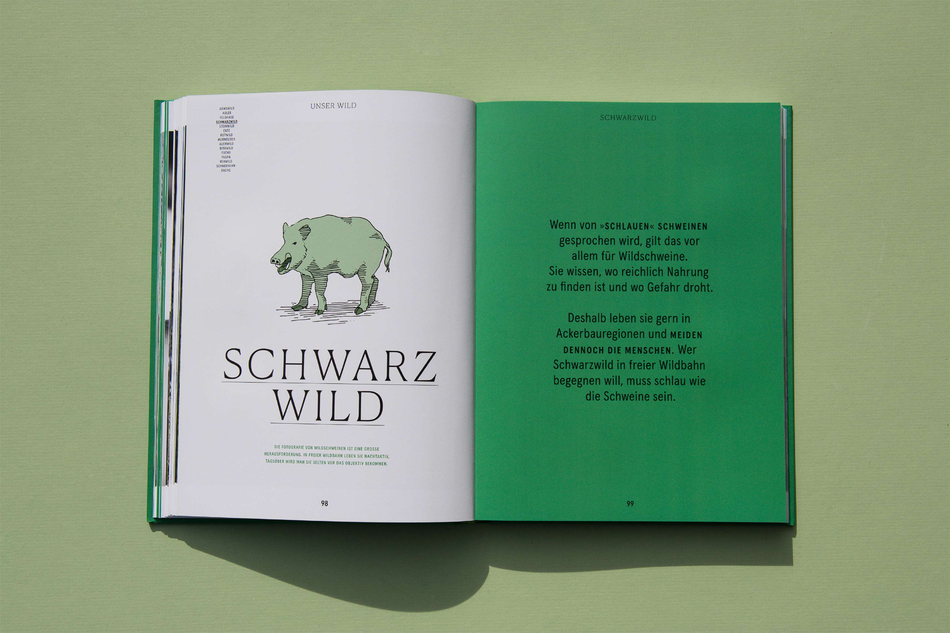 Wildbuch_Case15